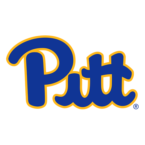 Pittsburgh Panthers logo